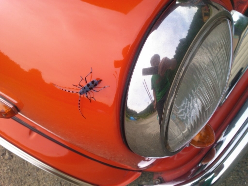 British_Leyland_Mini1100Special_17